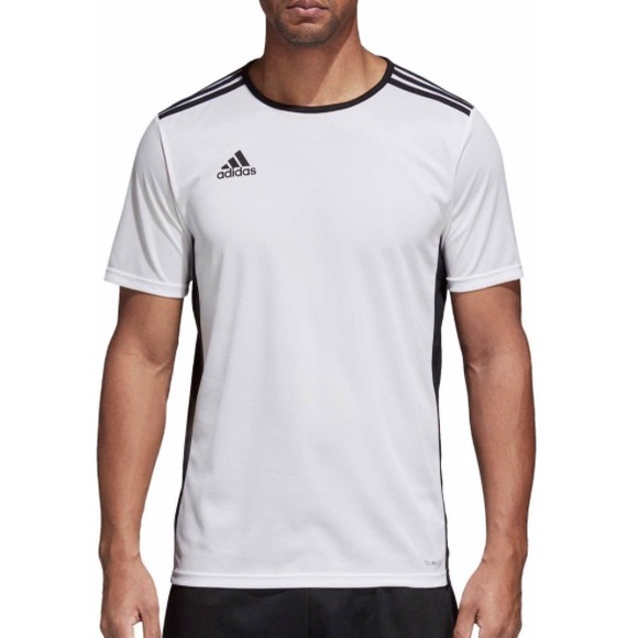 adidas entrada shirt